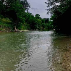 Cool Off in Your Own Piece of The Guadalupe!